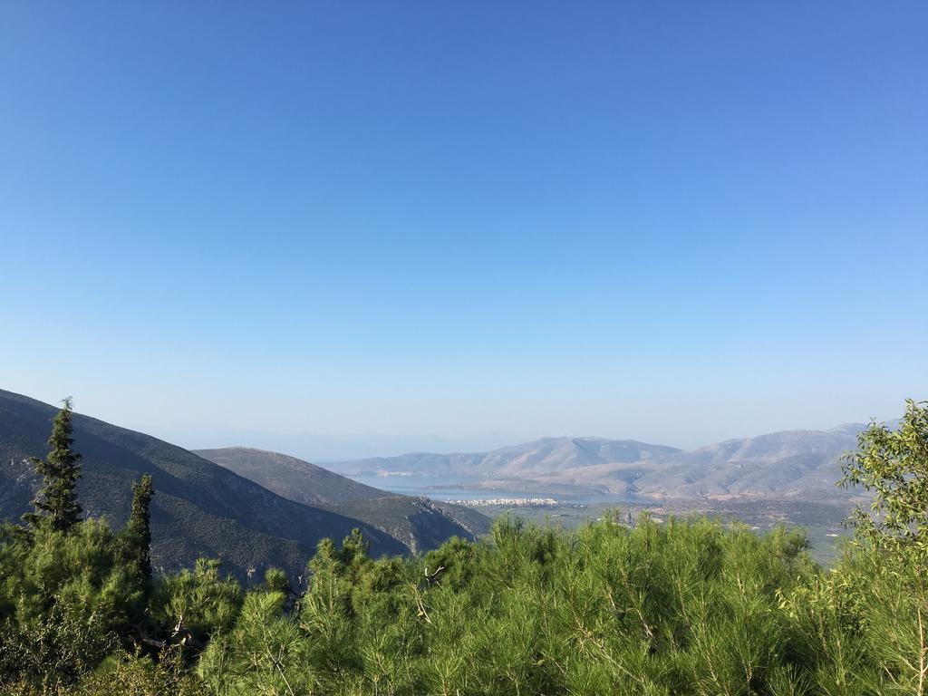 Delphi Palace Zewnętrze zdjęcie